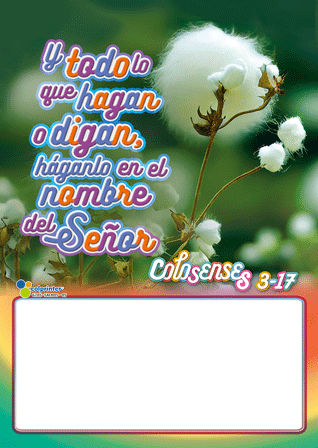 Almanaque Salmos 1/8